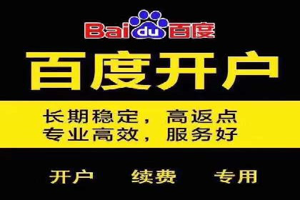 百度竞价排名实战：关键词优化与数据分析案例